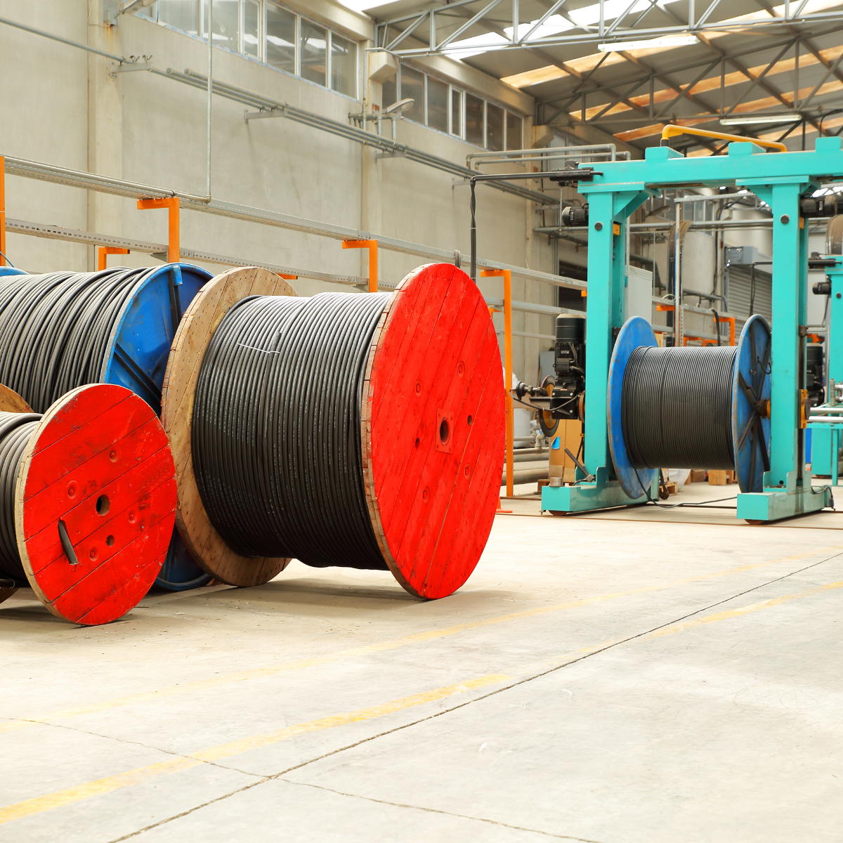 Rex-Website Images - 2025-12-31T151851.422