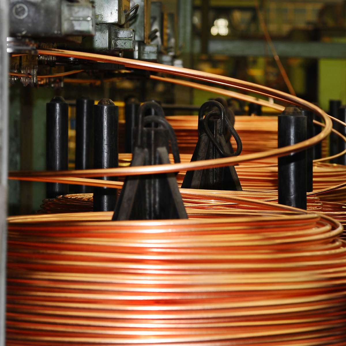 Rex-Website Images - 2025-12-31T151901.815