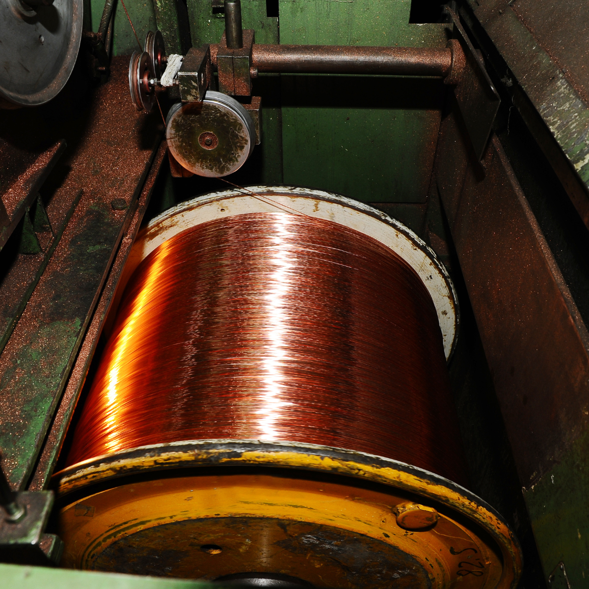 Rex-Website Images - 2025-12-31T151914.099