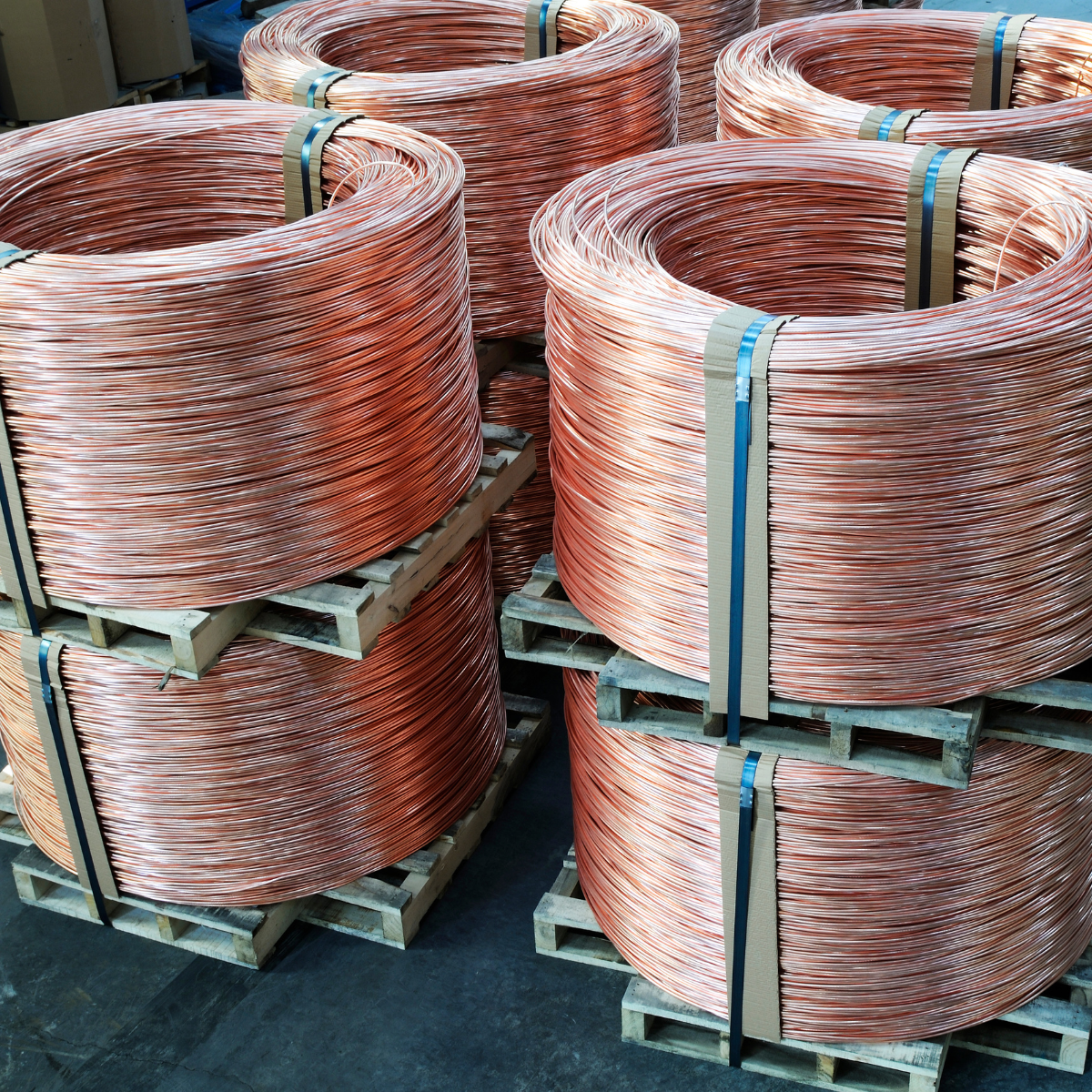 Rex-Website Images - 2025-12-31T151936.351