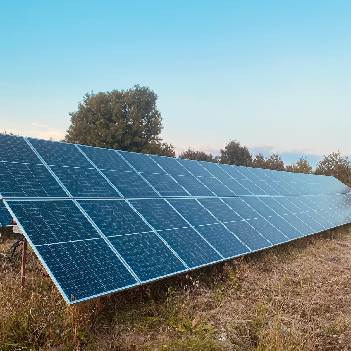 Rex-Website Images - 2025-12-31T152200.835