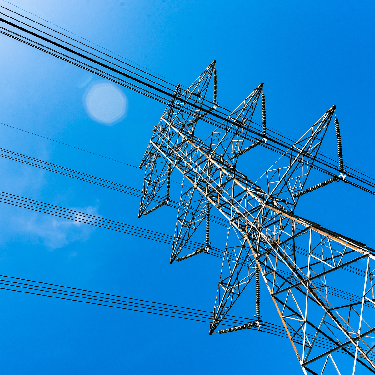 Rex-Website Images (68)