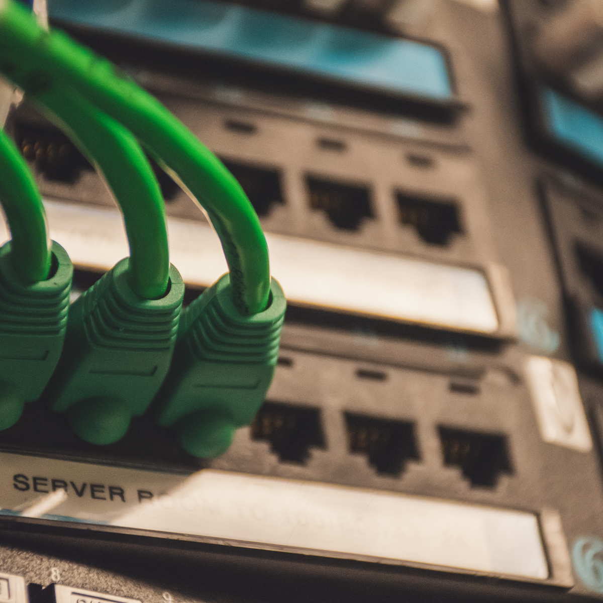 Rex-Website Images (72)