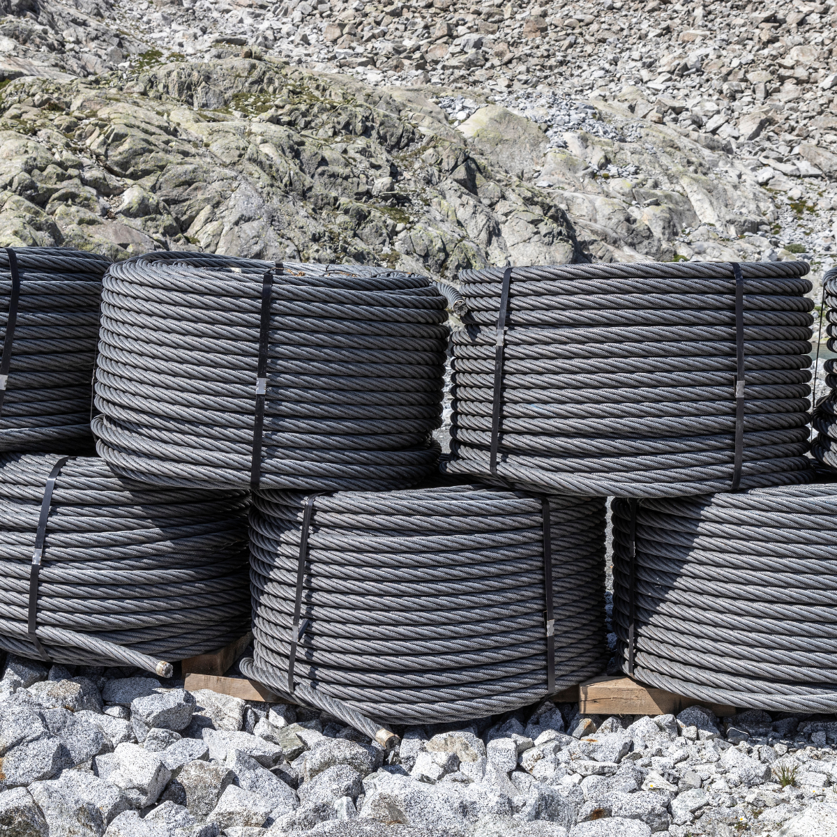 Rex-Website Images (76)