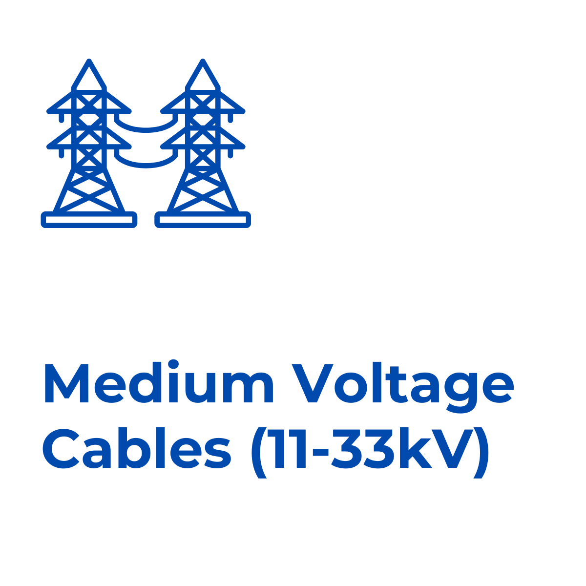 Rex-Website Images (78)