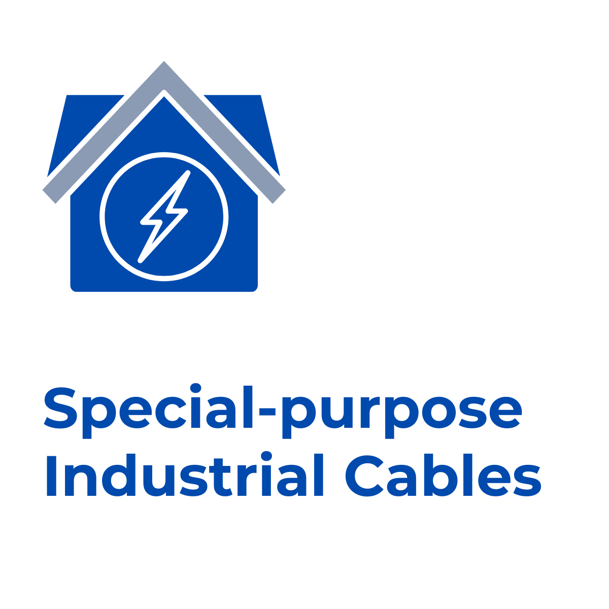 Rex-Website Images (79)