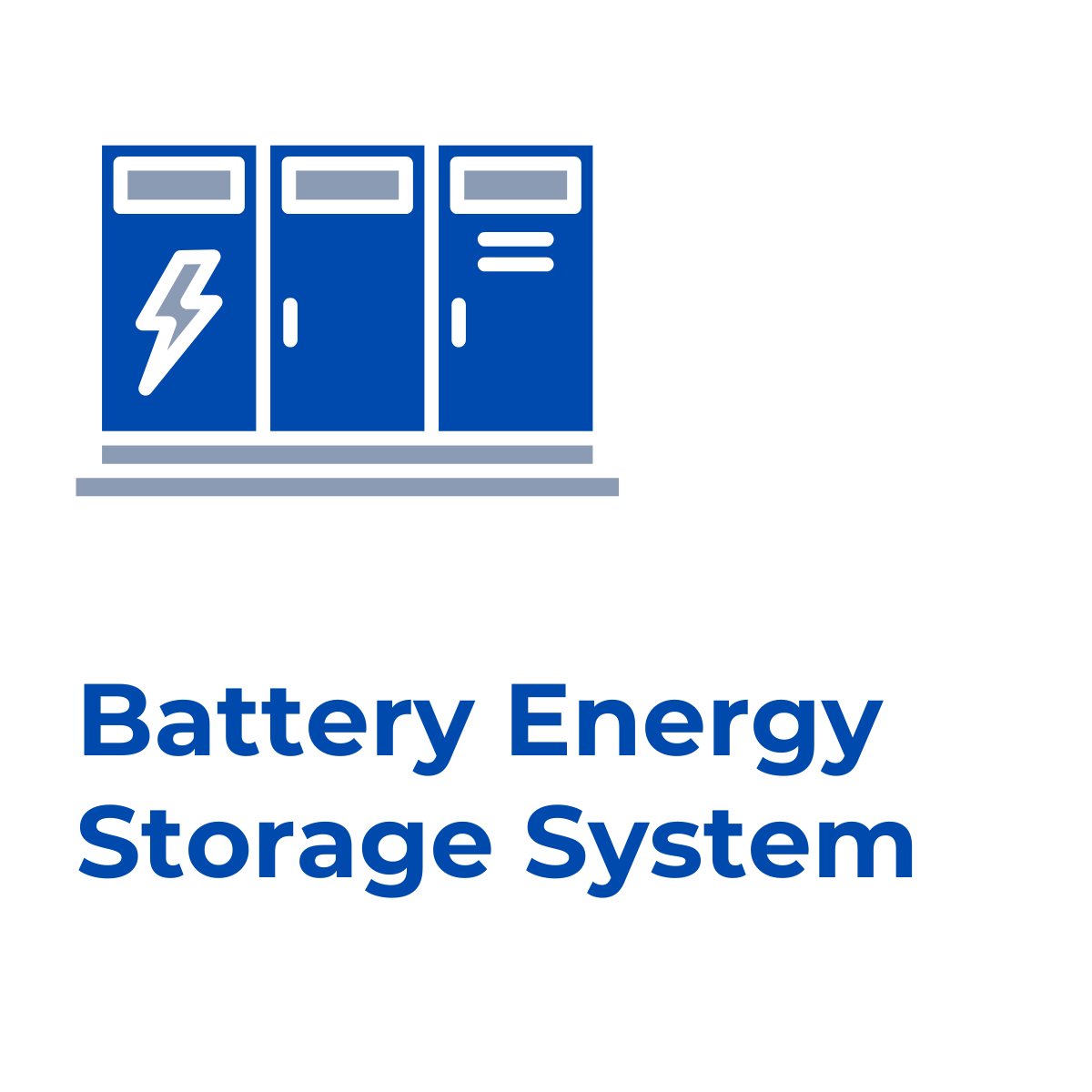 Rex-Website Images (80)