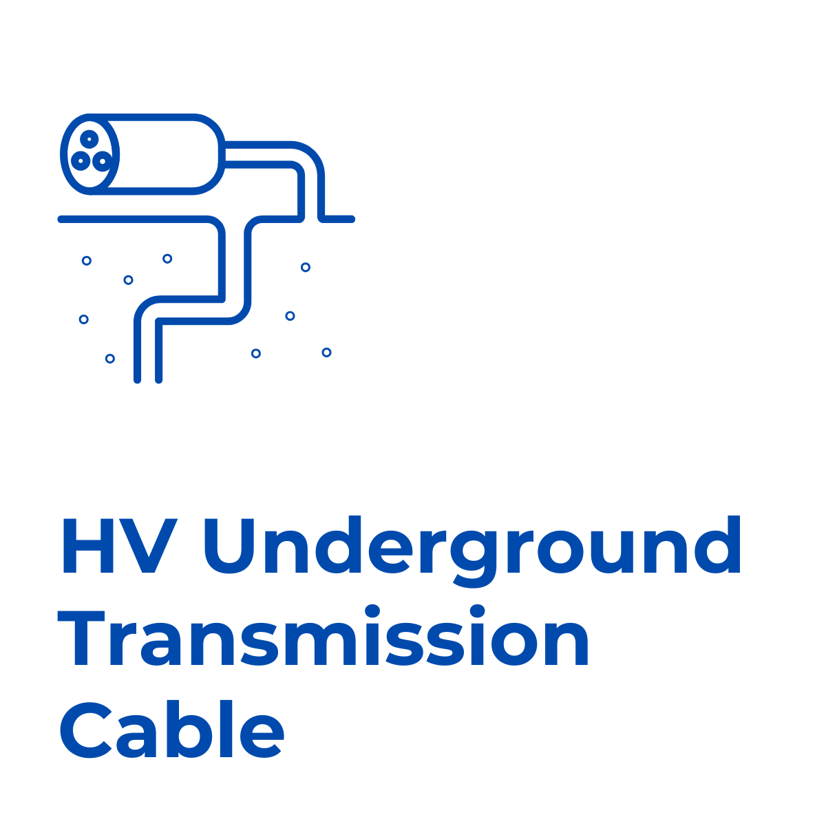 Rex-Website Images (81)