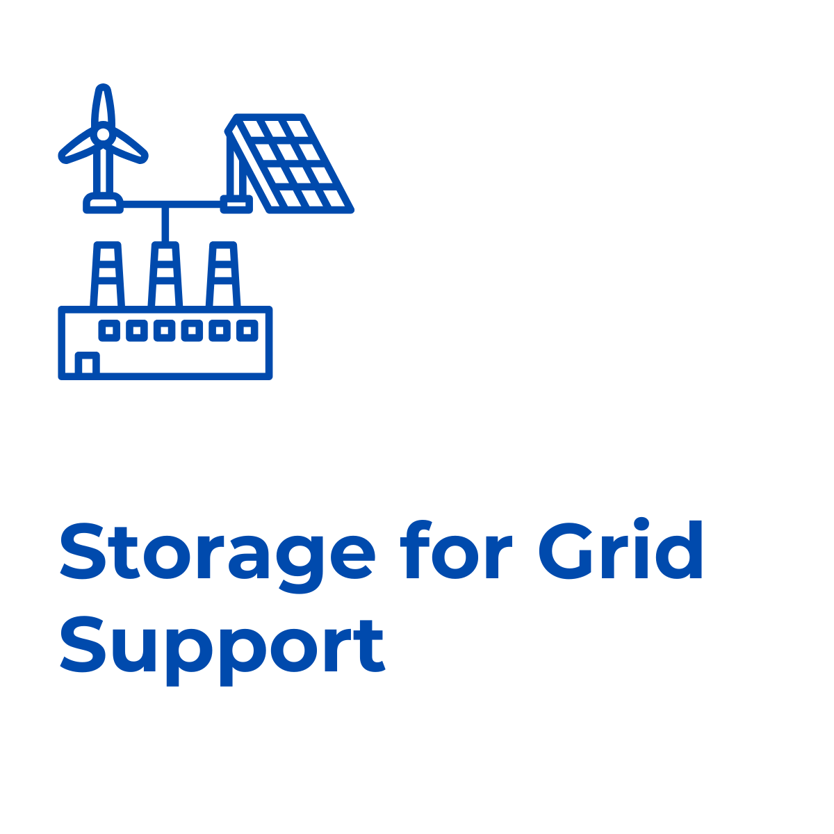 Rex-Website Images (82)