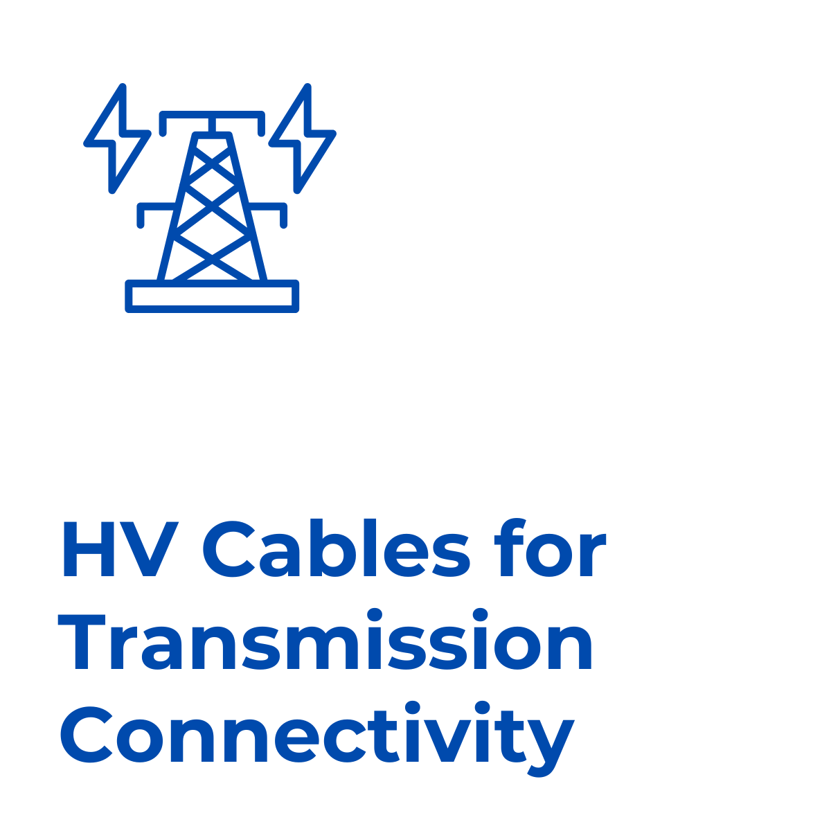 Rex-Website Images (86)