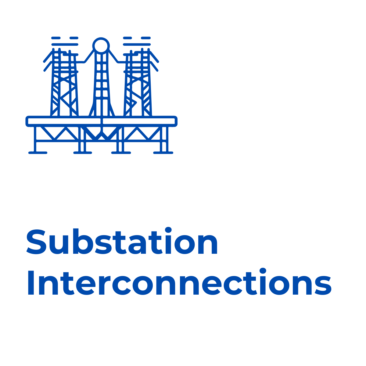 Rex-Website Images (87)