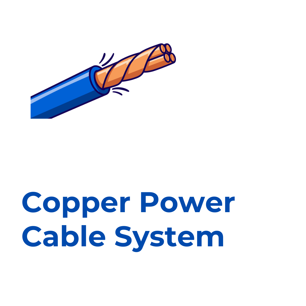 Rex-Website Images (88)