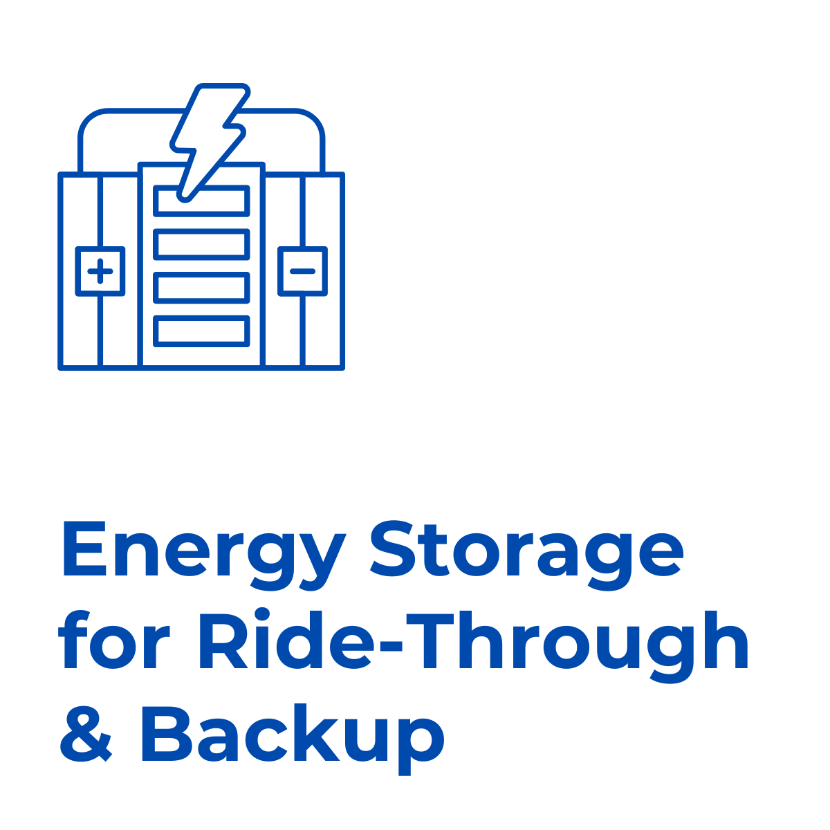 Rex-Website Images (89)