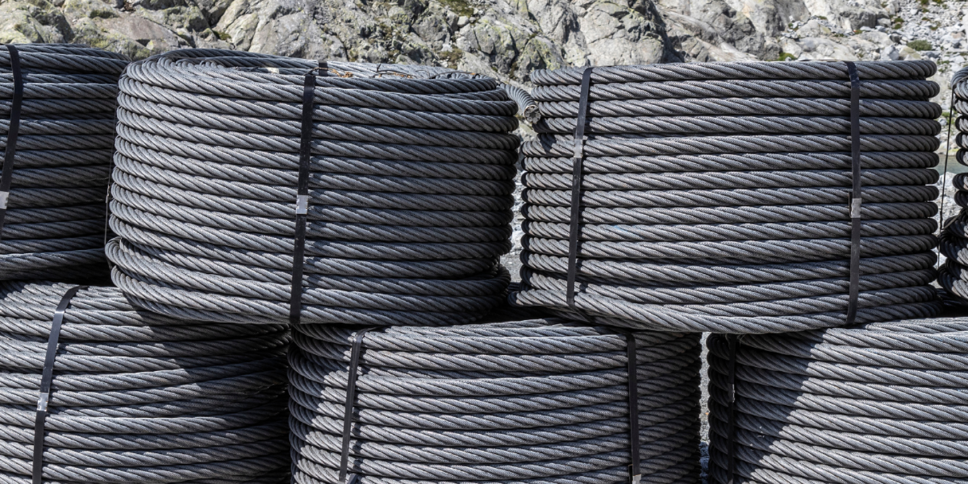 Rex-Website Images (76)